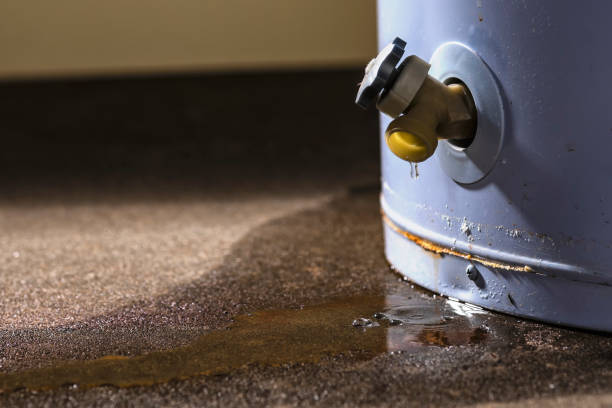 Best Residential water damage restoration  in Winchester, CA