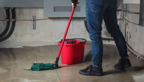 Best 24-hour water damage restoration  in Winchester, CA