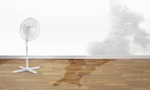 Best Water damage restoration near me  in Winchester, CA