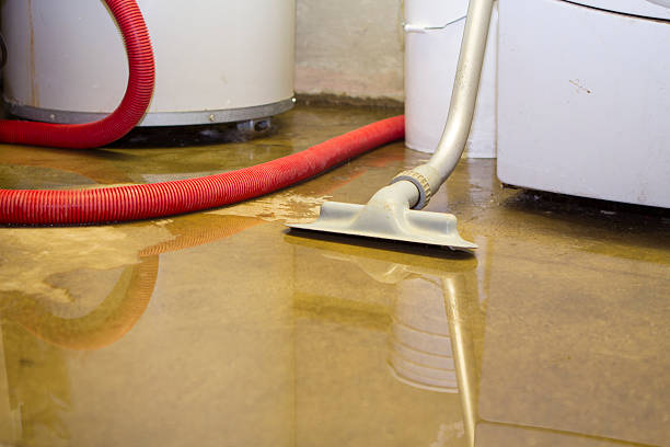 Best Flood damage cleanup  in Winchester, CA