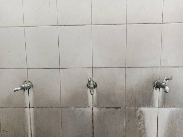 Best Water damage restoration services  in Winchester, CA