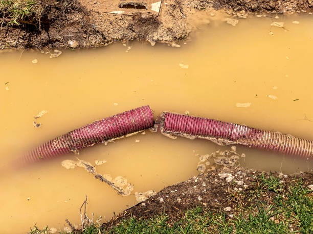 Best Basement water damage restoration  in Winchester, CA