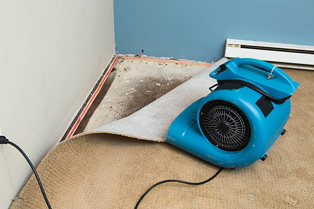 Best Local water damage restoration  in Winchester, CA